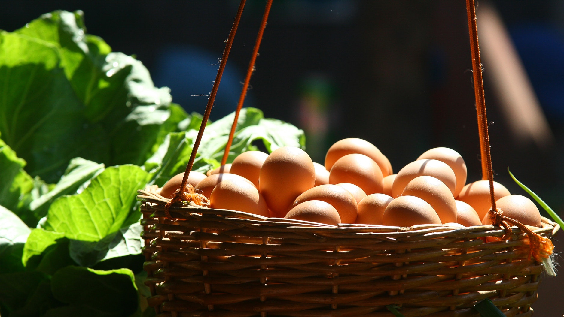 Guide On Egg Fast Rules To Eat Healthily