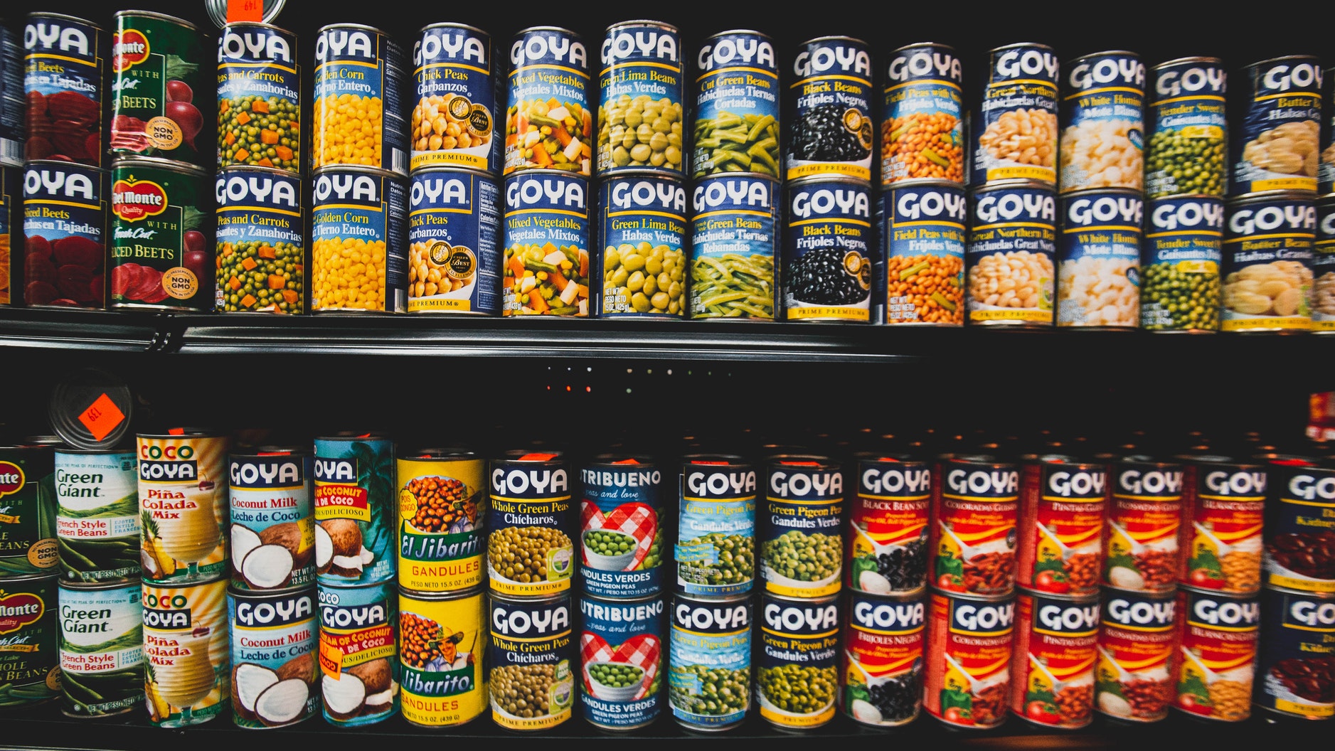 Best Canned Food In the Market